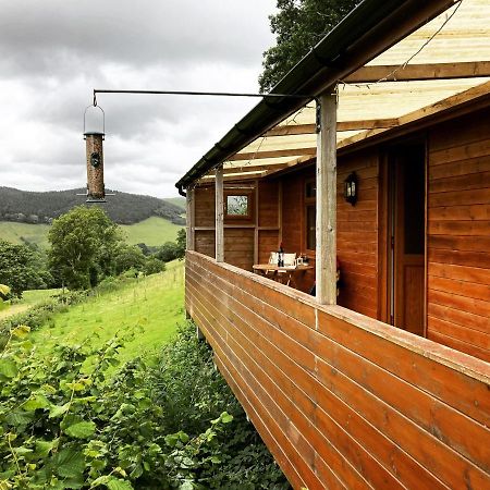 شقة Cabin Pren , Darowen , ماتشينليث المظهر الخارجي الصورة